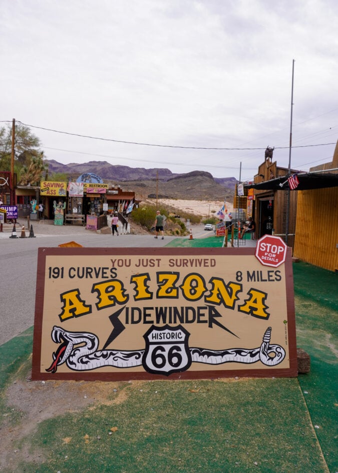 A sign that reads "You just survived 191 curves in 8 miles" and "Arizona Sidewinder"